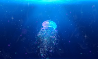 медуза, подводный мир