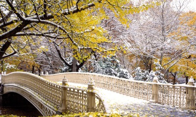 Early Snowfall, Central Park, New York