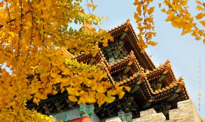дворец китай архитектура ветви