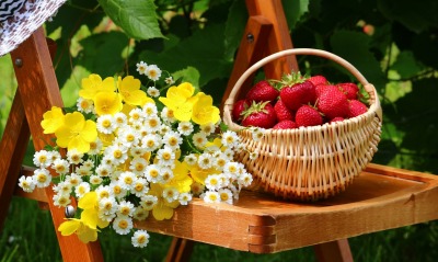 природа корзина клубника ягоды цветы ромашки
