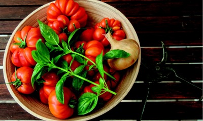 помидоры томаты тарелка зелень базилик