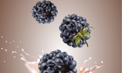 графика ягоды graphics berries