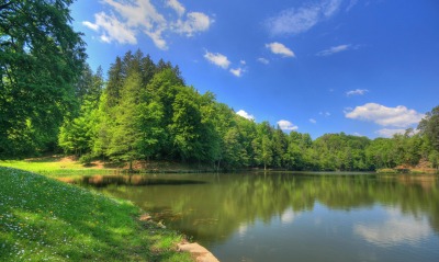 озеро, деревья