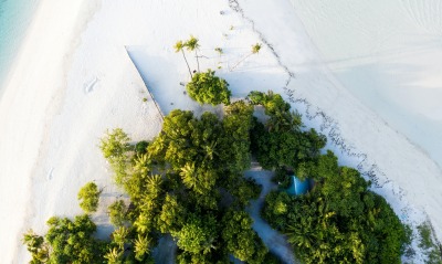 полуостров деревья пляж песок вид с высоты