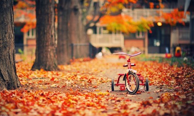 Велосипед детский осень площадка