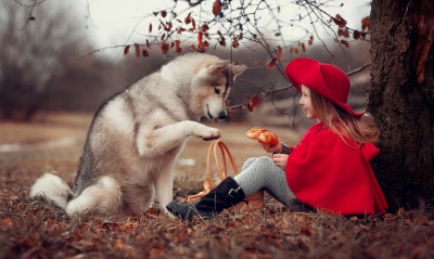 хаски собака девочка осень у дерева пикник
