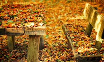 Осень листья лавка стол