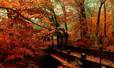 мост, осень