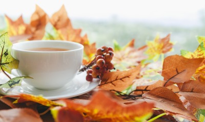 чай листья чашка осень рябина гроздь