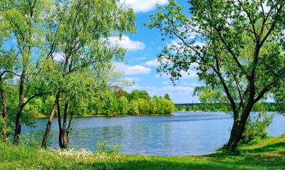 весна озеро зелень