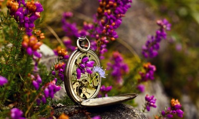 природа цветы часы