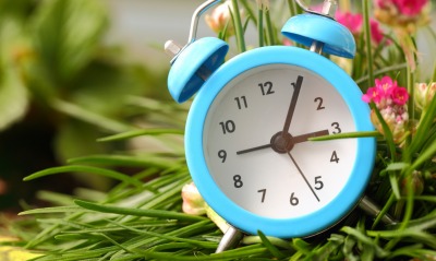часы будильник трава