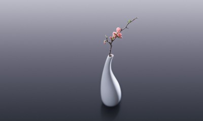 ваза ветка цветение цветок