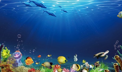 океан, рыбы