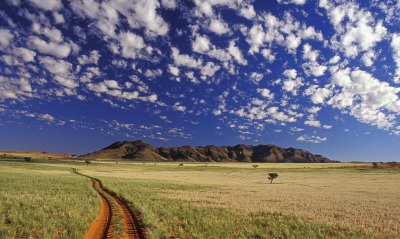 Tok Tokkie, NamibRand Reserve, Namib Desert, Namibia