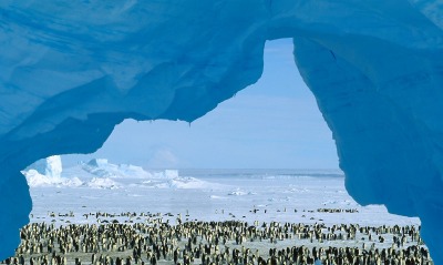 Atka Bay, Weddell Sea, Antarctica