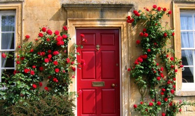 Розы по стене, Англия