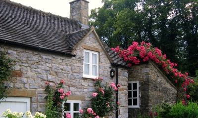 Цветы на крыше дома, Англия