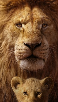 лев львенок грива шерсть пушистый морда