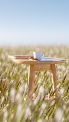 стул стол поле завтрак